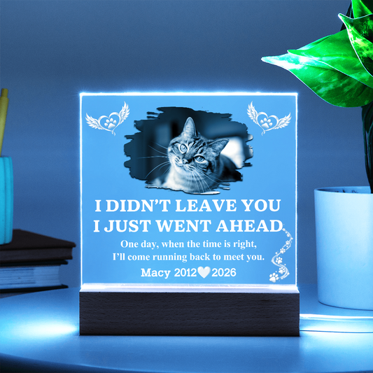 Pet Memorial Acrylic LED Plaque with Photo, Name & Dates