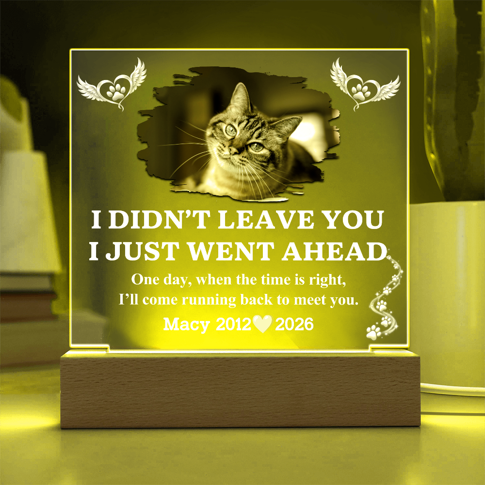 Pet Memorial Acrylic LED Plaque with Photo, Name & Dates