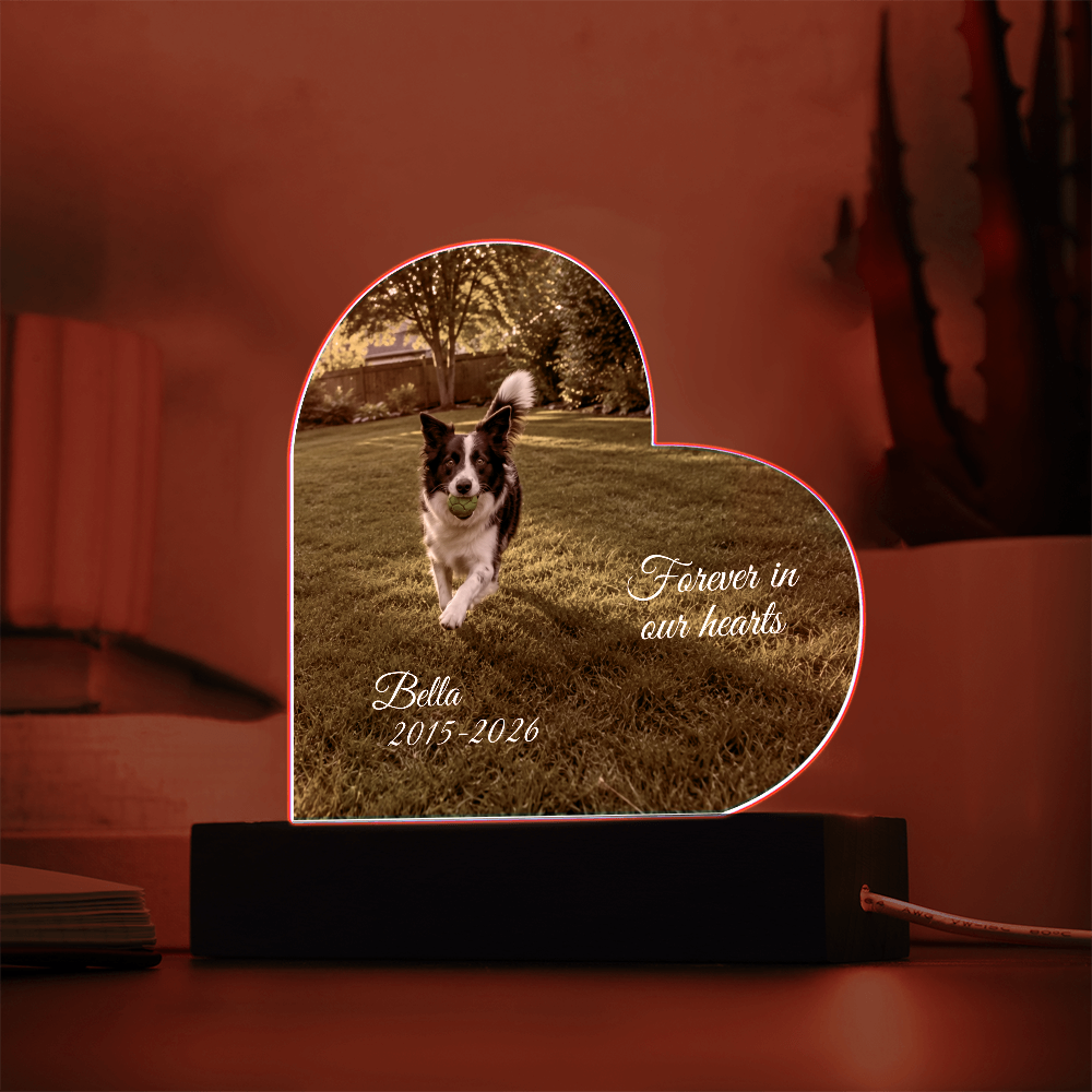 Custom Pet Memorial Heart LED Plaque