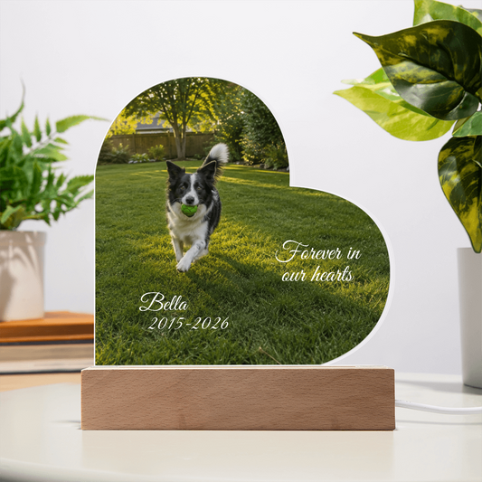 Custom Pet Memorial Heart LED Plaque