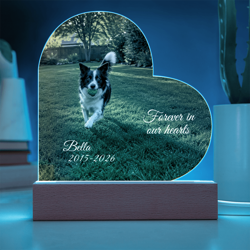 Custom Pet Memorial Heart LED Plaque