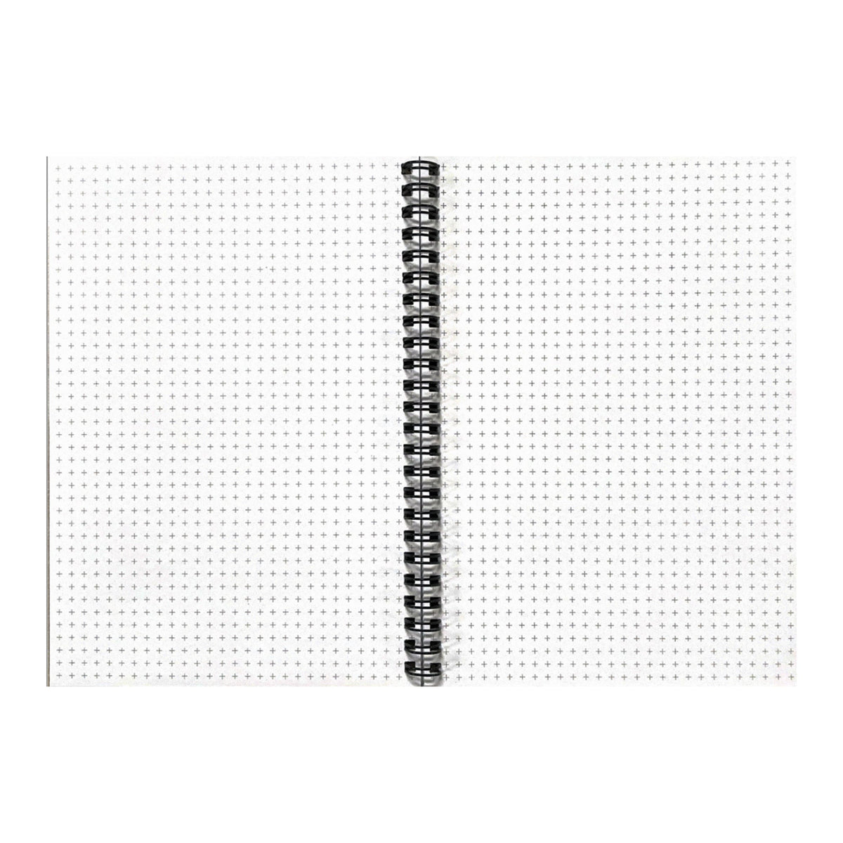 Spiral notebook pages with light gray dotted graph grid