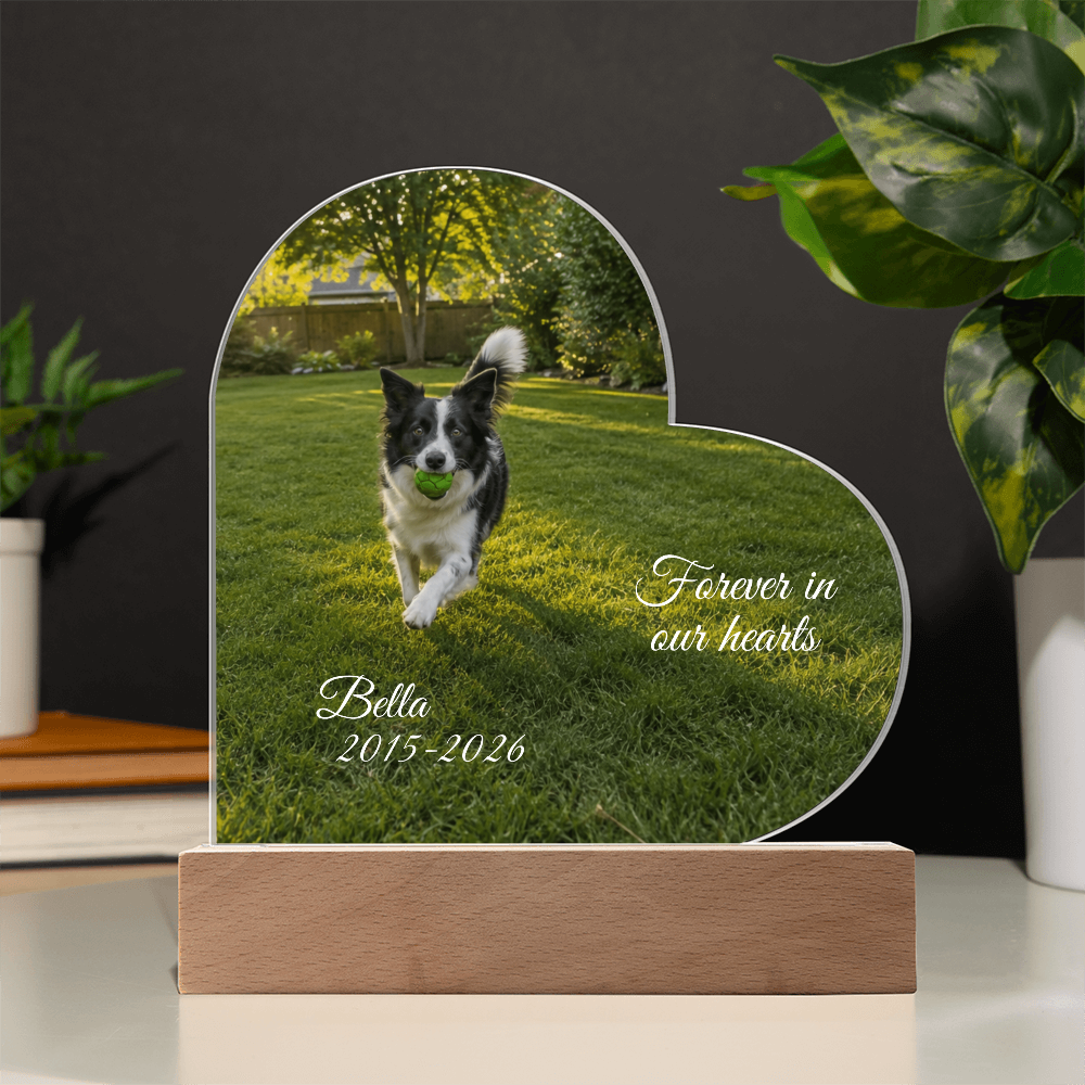 Custom Pet Memorial Heart LED Plaque