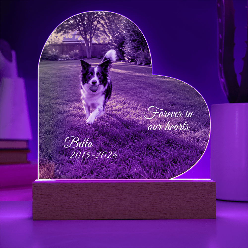 Custom Pet Memorial Heart LED Plaque