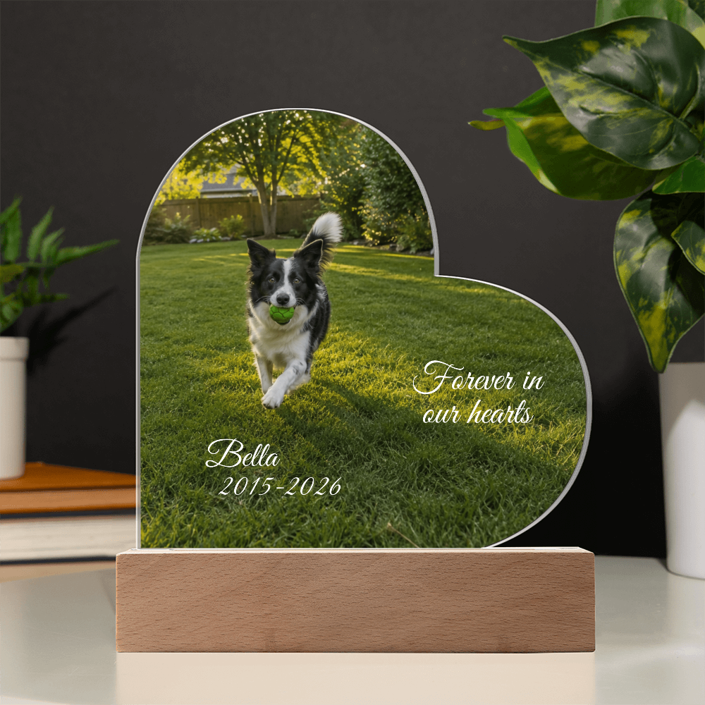 Custom Pet Memorial Heart LED Plaque
