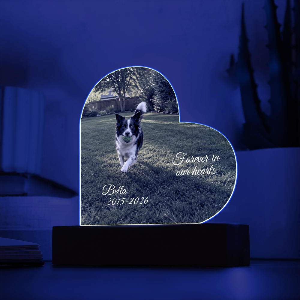 Custom Pet Memorial Heart LED Plaque