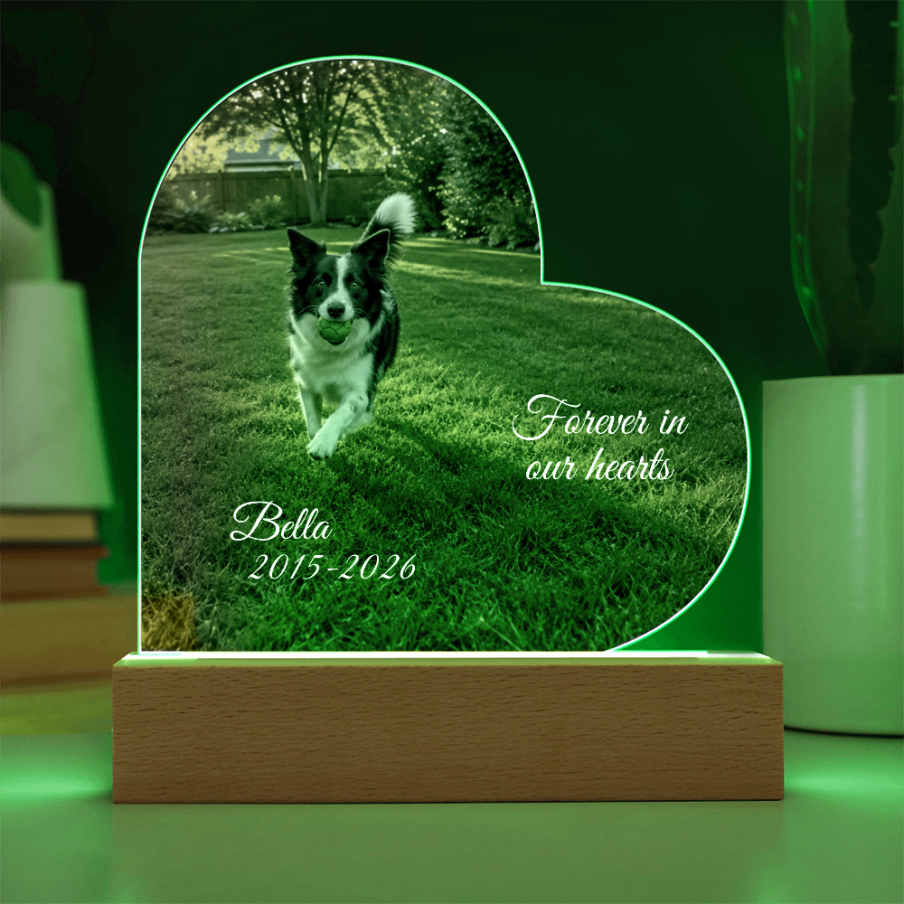 Custom Pet Memorial Heart LED Plaque
