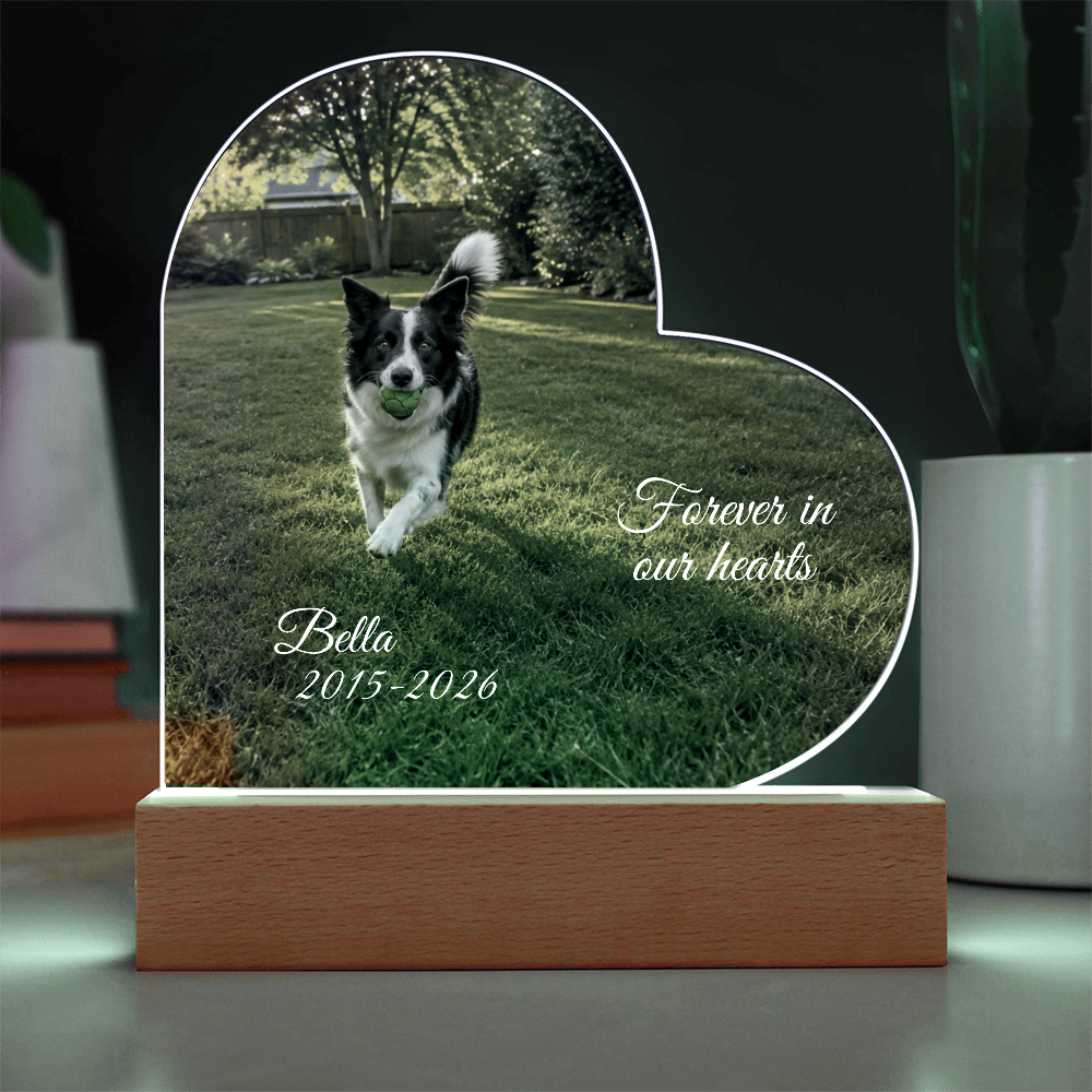 Custom Pet Memorial Heart LED Plaque