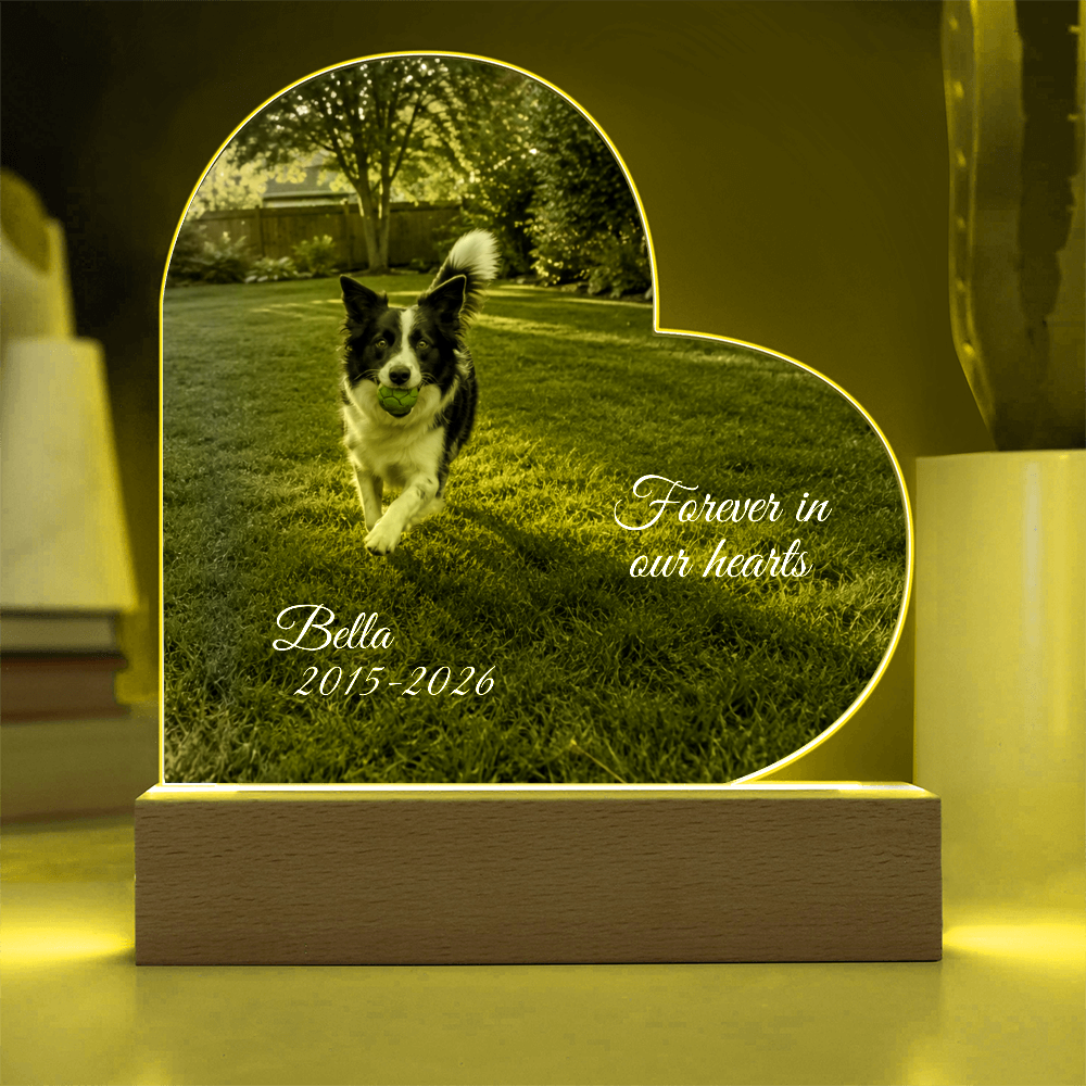 Custom Pet Memorial Heart LED Plaque